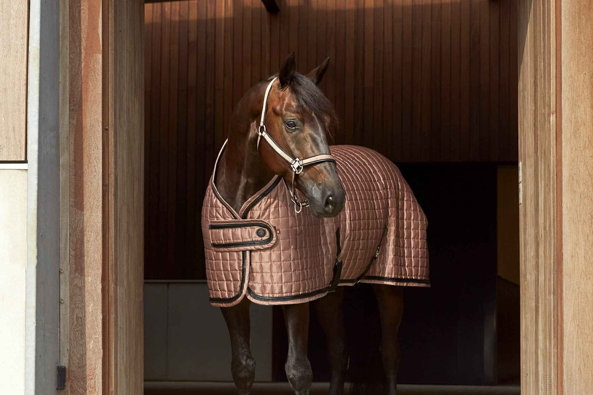 Catago Fir Tech Showdecke Elegant 155cm – Komfortabel und stilvoll für Ihr Pferd - FRZ Pferdesport