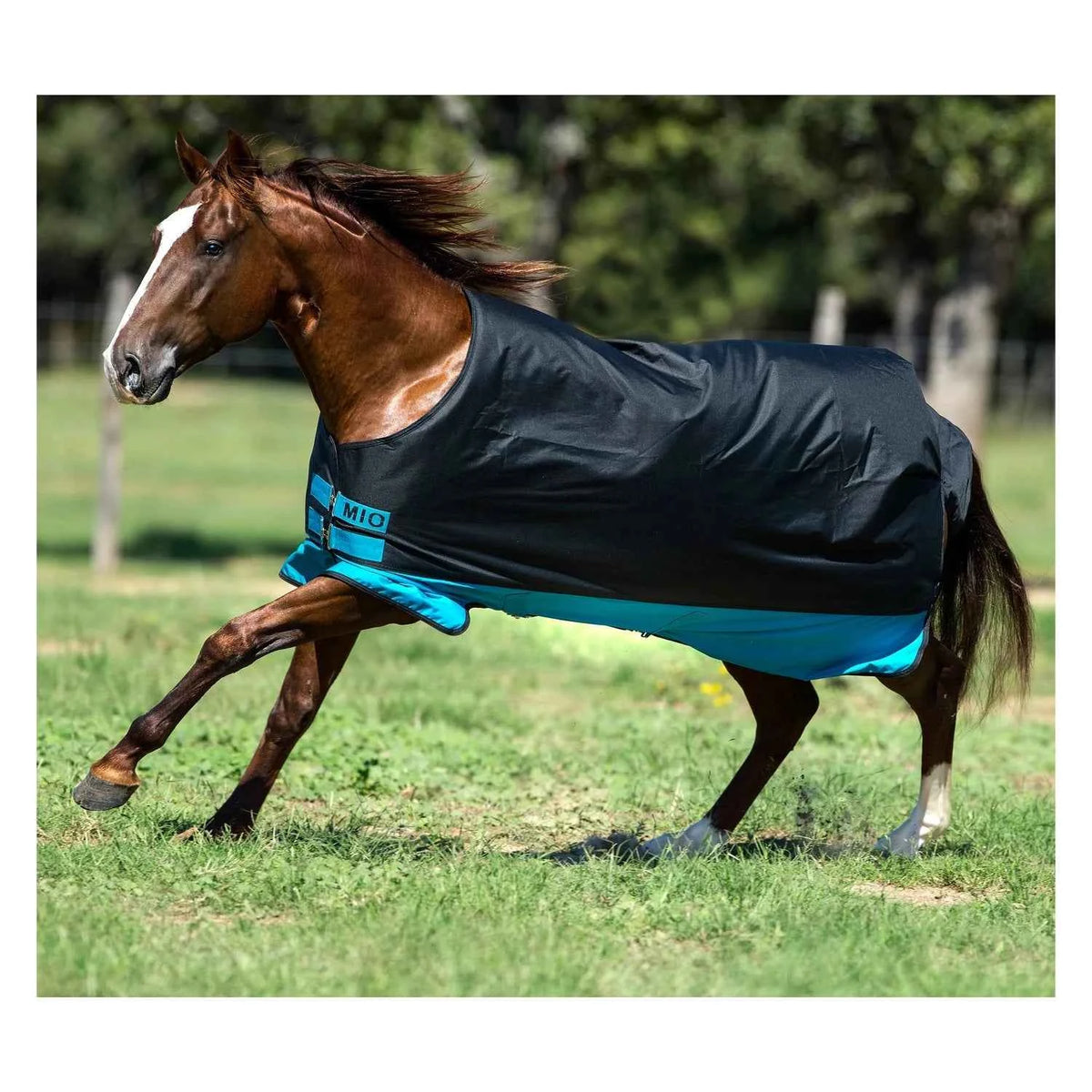 Horseware Outdoordecke Amigo Mio Turnout Medium 200g – Optimaler Schutz für Ihr Pferd - FRZ Pferdesport