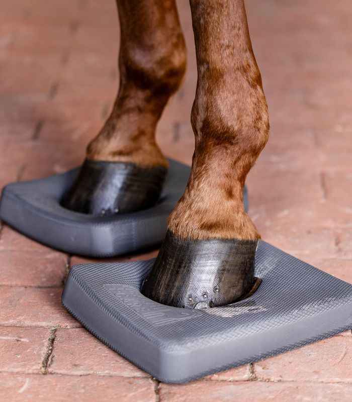Waldhausen Health + Care Balance Pads - FRZ Pferdesport