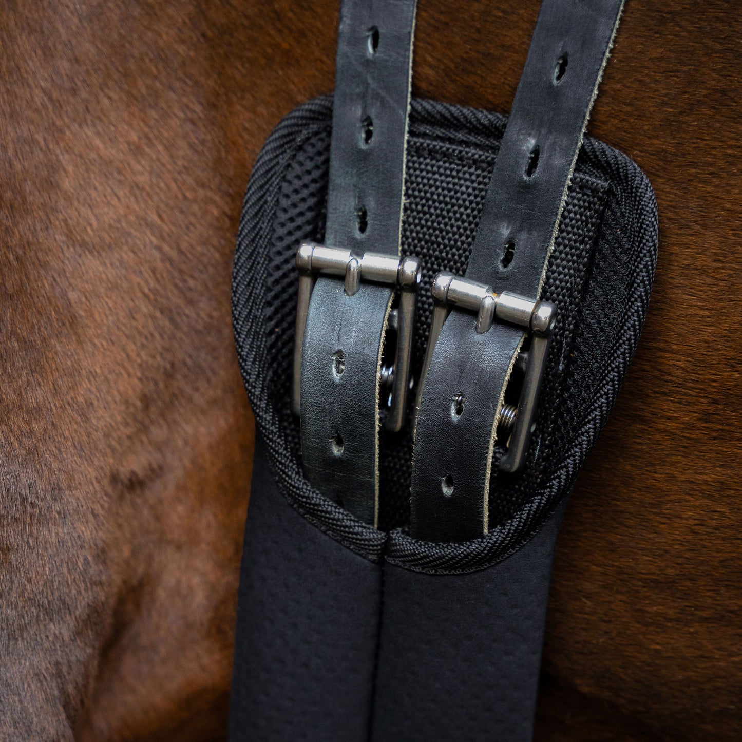Imperial Riding Kurzgurt Neopren 60cm schwarz