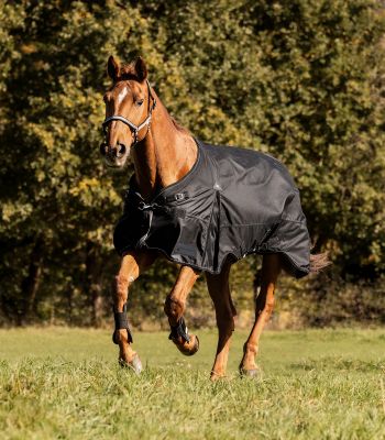 Waldhausen Outdoordecke Scandic Light, schwarz