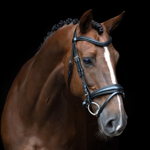 Imperial Riding Trense IRH englisch kombiniert schwarz Pony