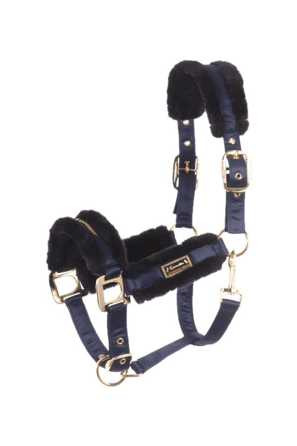 Cavallo Halfter CAVALLYLOU