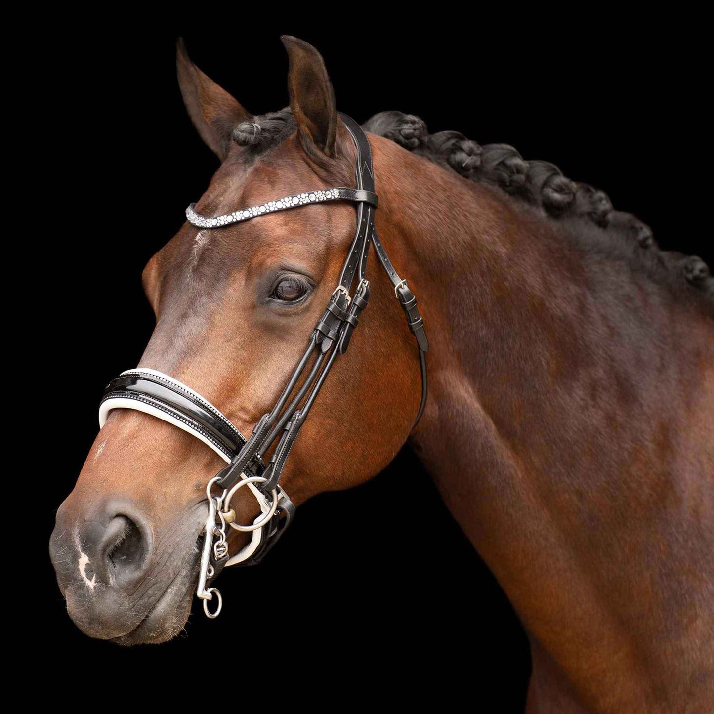 Imperial Riding Kandarenzaum IHROlympia - FRZ Pferdesport