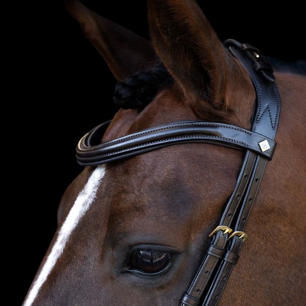 Imperial Riding Trense IRH mit ergonomischem Drop-Nasenriemen/Flash-Strap