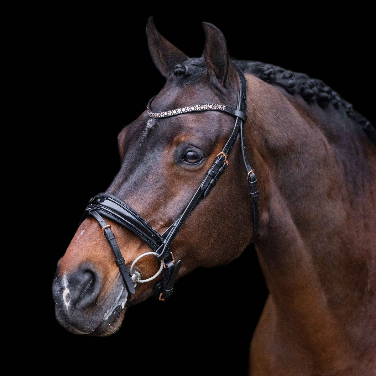 Imperial Riding Trense IHROlympia - FRZ Pferdesport