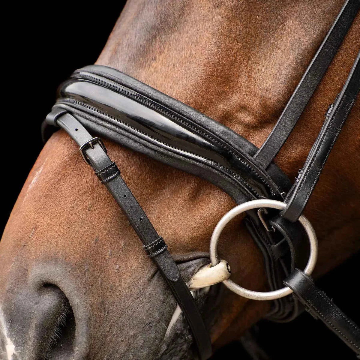 Imperial Riding Trense IRHAthena - FRZ Pferdesport