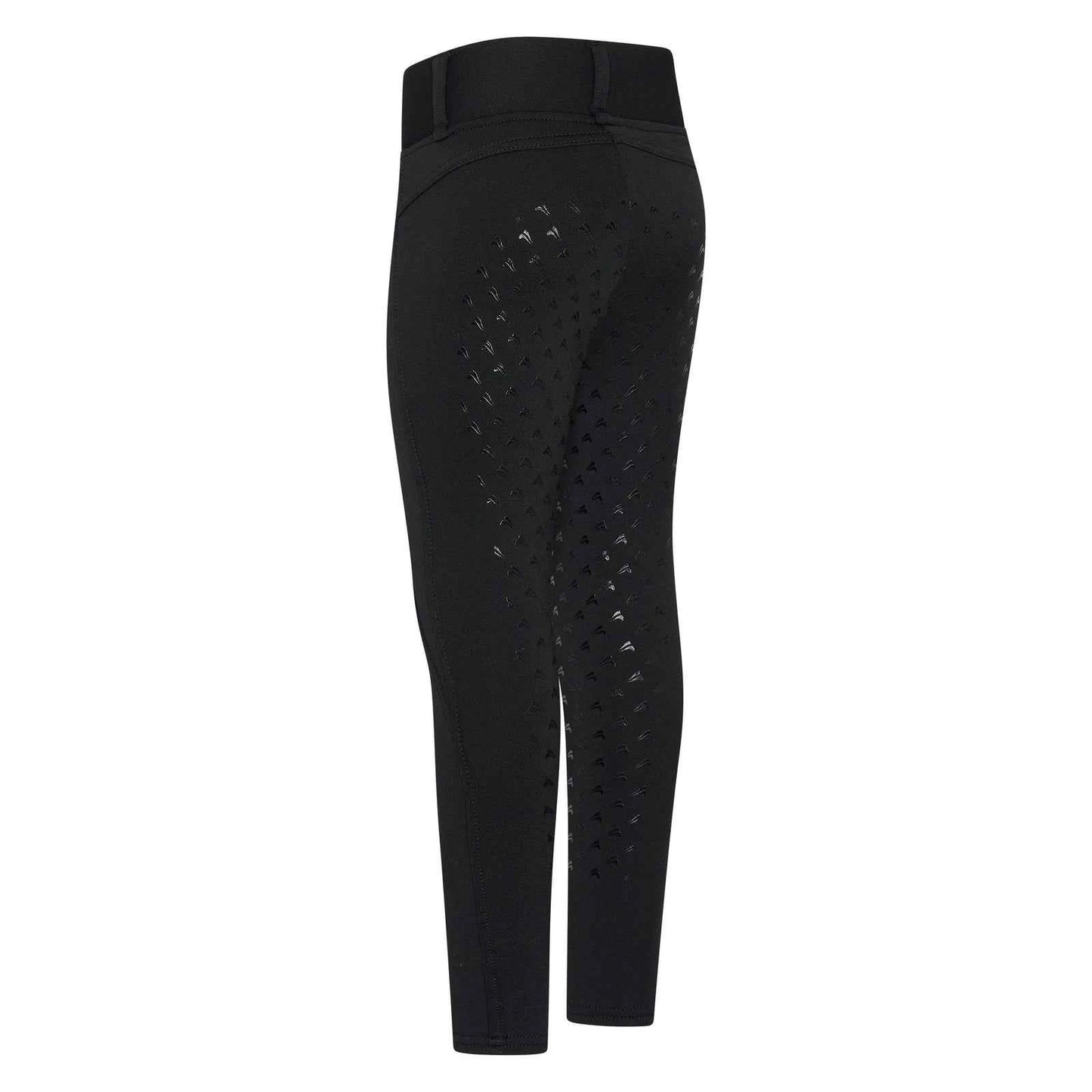 Easy Rider bei Euro-Star Winterreitleggings ERDon Fullgrip schwarz 42 - FRZ Pferdesport