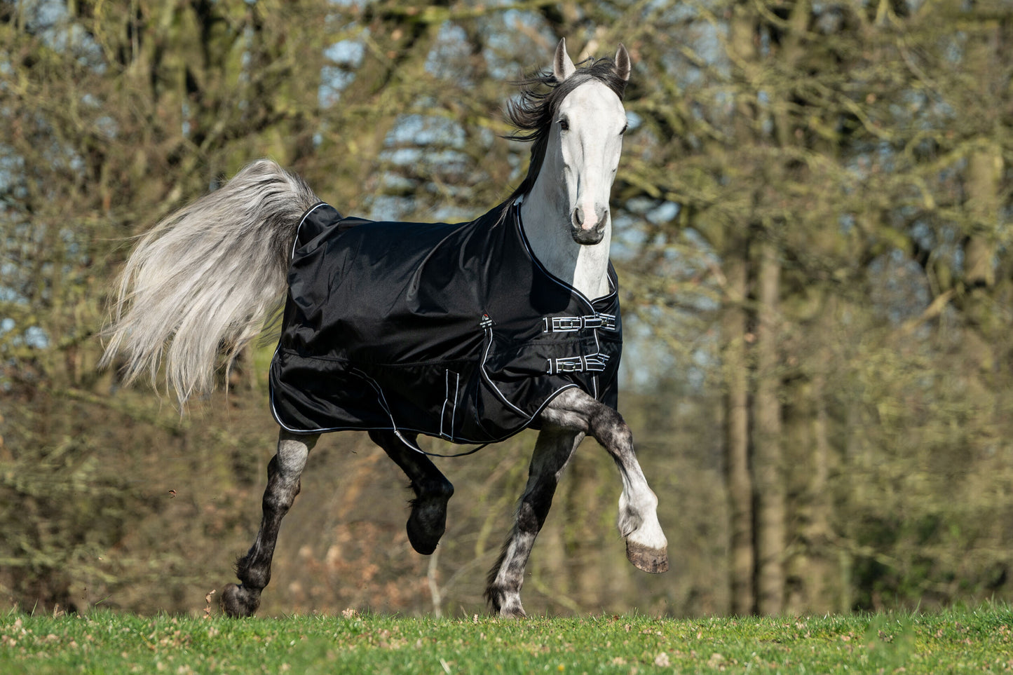 HKM Outdoordecke Premium mit Teddyfutter black 155cm