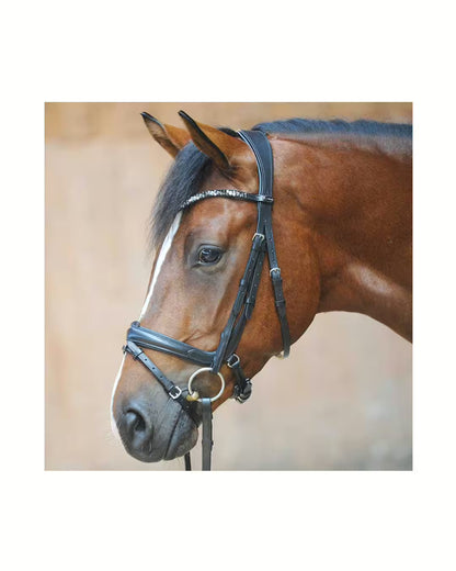 Kavalkade Kombi Kandare Ivonne