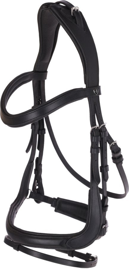 Covalliero Trensenzaum Anatomic