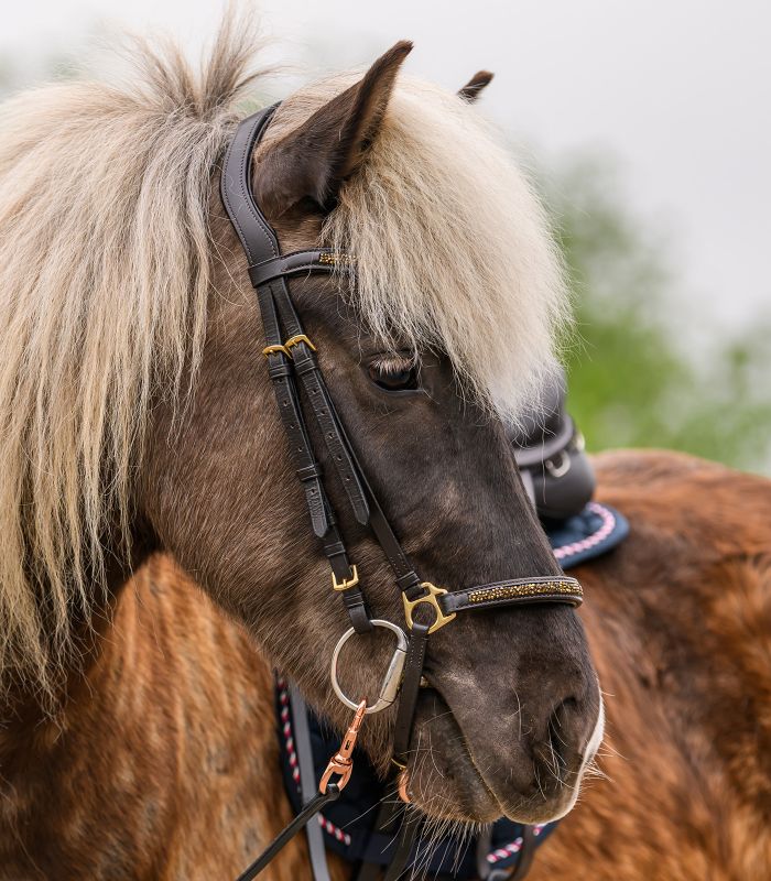 Waldhausen Island Trense Ice Crystal braun