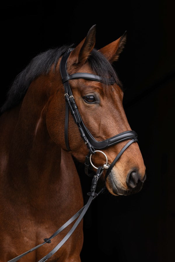 Covalliero Trensenzaum Anatomic