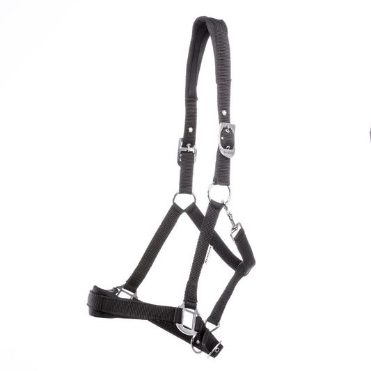 Kavalkade Halfter "Classic Simple"