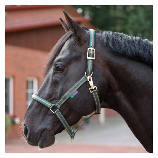 Bucas Halfter Dublin Opal