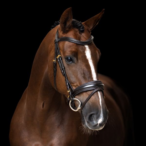Imperial Riding Trense Kombiniert Sleek