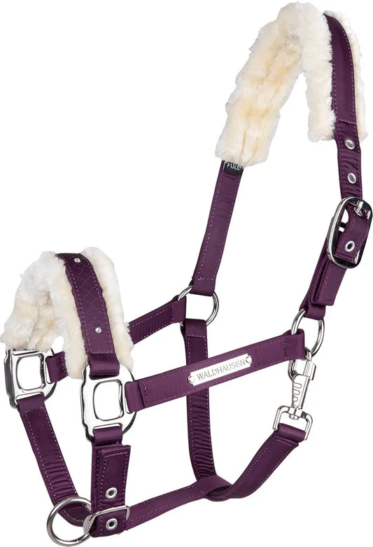 Waldhausen Halfter Barcelona Holunder WB