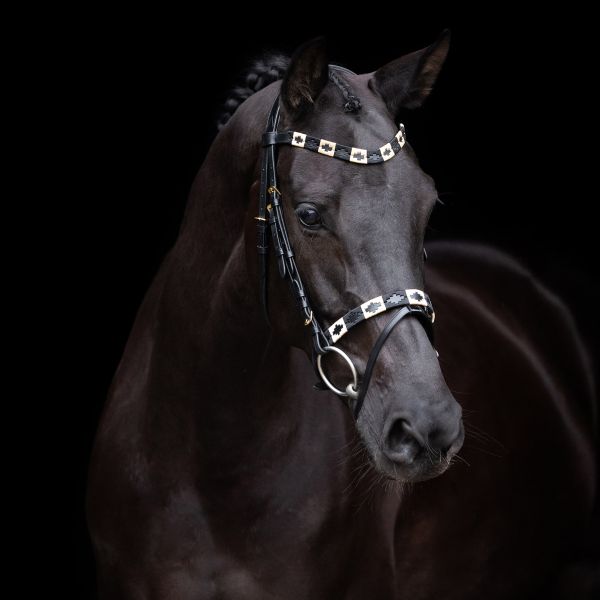 HV Polo Trense HVPChaya Black-Gold Cob