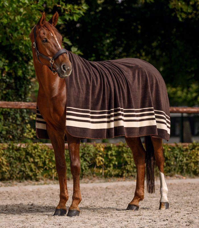 Waldhausen Fleecedecke Sölden Espresso