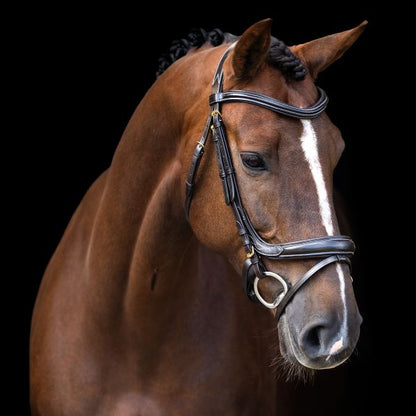 Imperial Riding Trense IRHCurved Cut Full braun