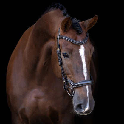 Imperial Riding Trense IRH mit ergonomischem Drop-Nasenriemen/Flash-Strap