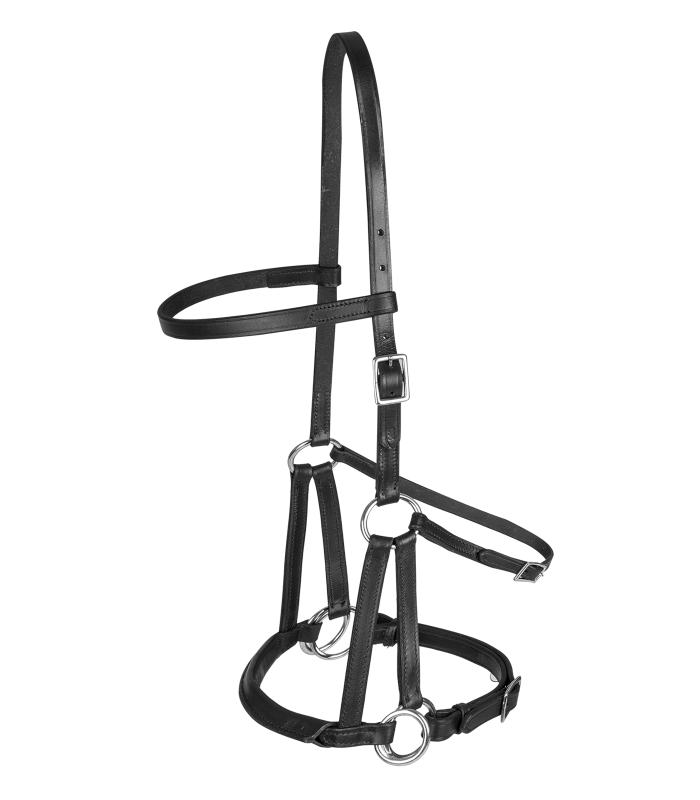 Linda Tellington Jones Lindel