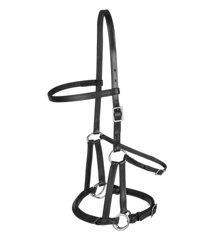 Linda Tellington Jones Lindel