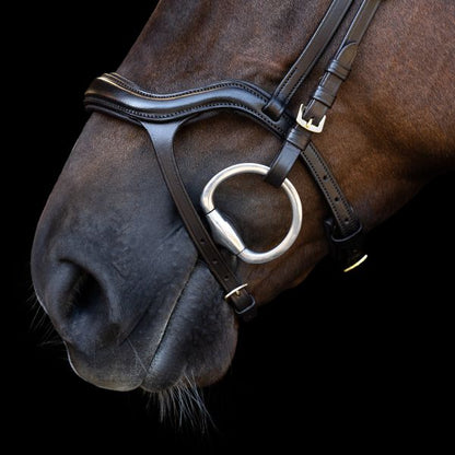 Imperial Riding Trense IRH mit ergonomischem Drop-Nasenriemen/Flash-Strap
