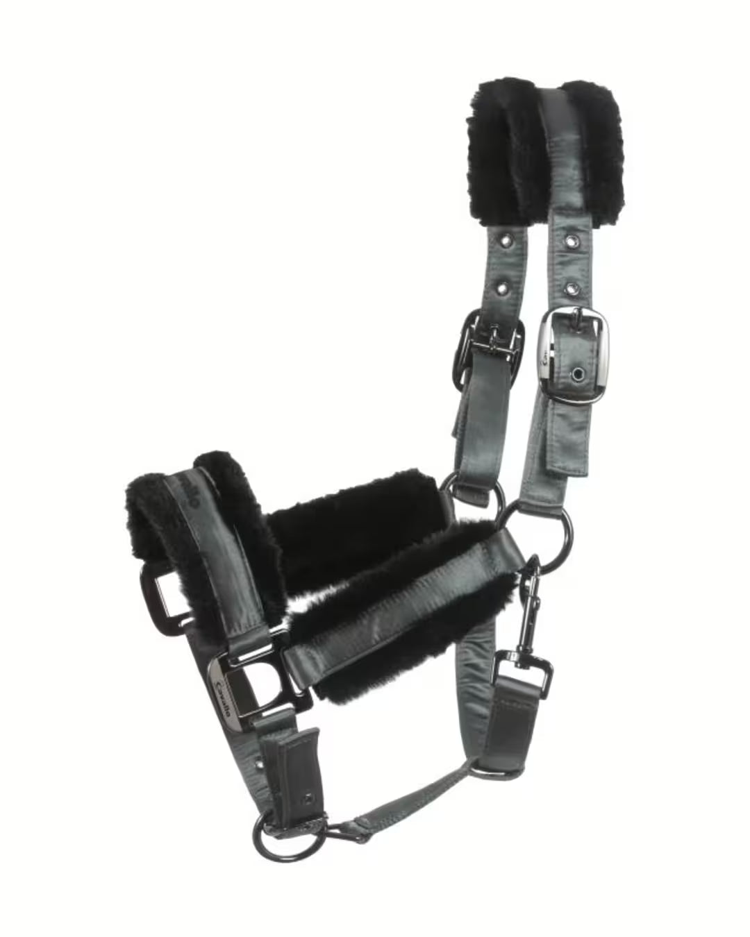 Cavallo Halfter Cavaljero