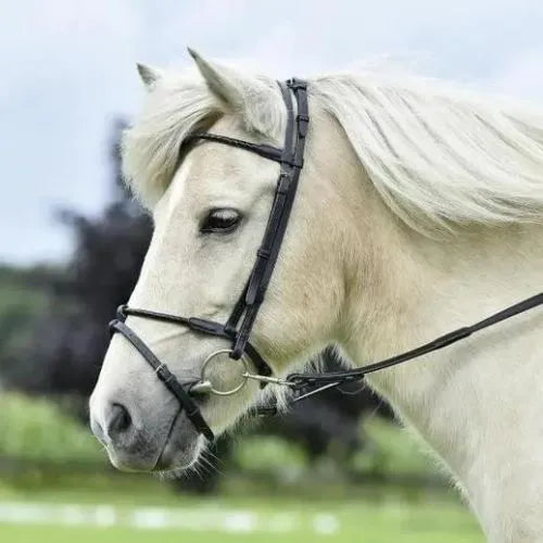BUSSE Trense Braid Island