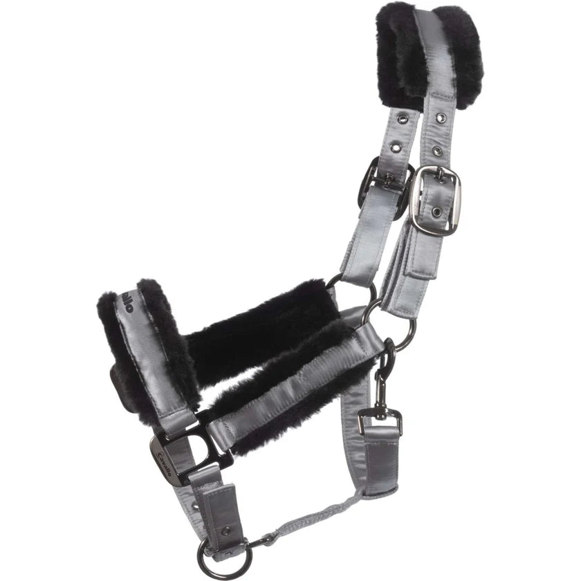 Cavallo Halfter Cavaljero
