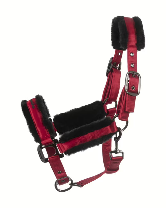 Cavallo Halfter Cavaljero