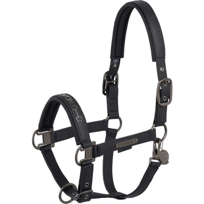 Eskadron Halfter Faux Leather Double Pin Platinum 25