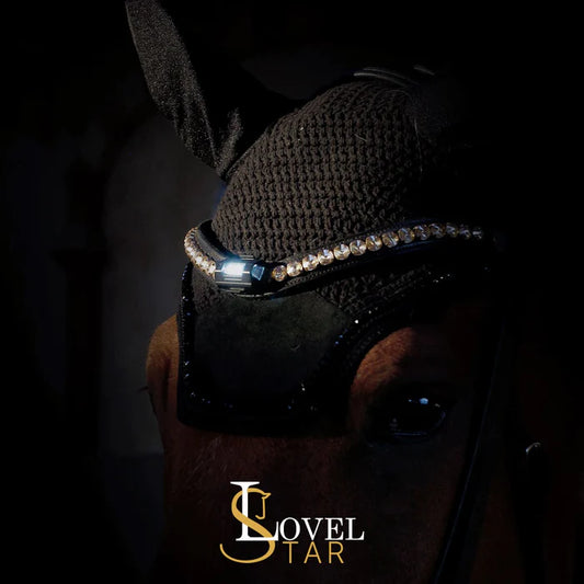 Lovelstar LED Spots Pferd 4x