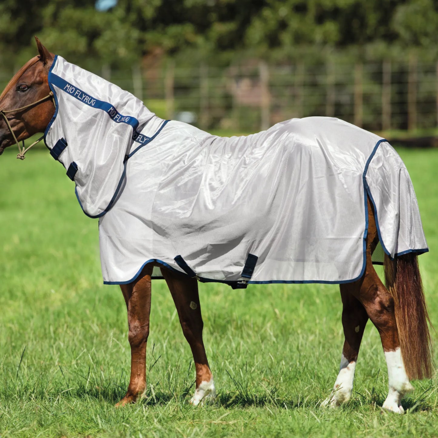 Horseware Amigo Mio Fliegendecke