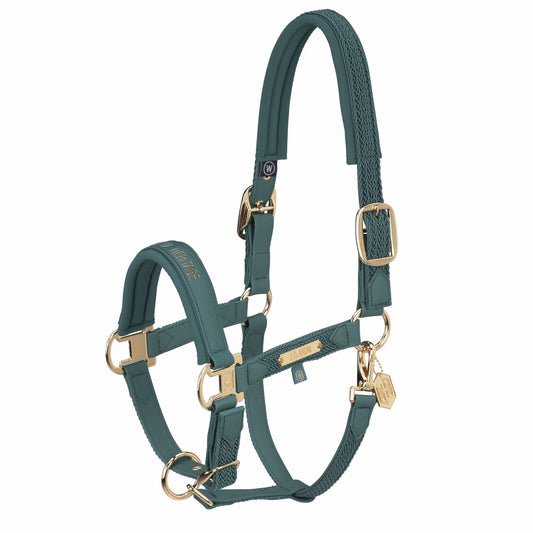 Eskadron Halfter Faux Leather Plait Double Pin Heritage 24/25