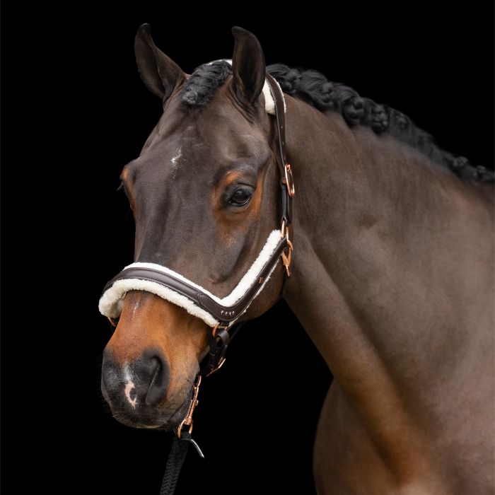 Imperial Riding Lederhalfter IRHLuxury