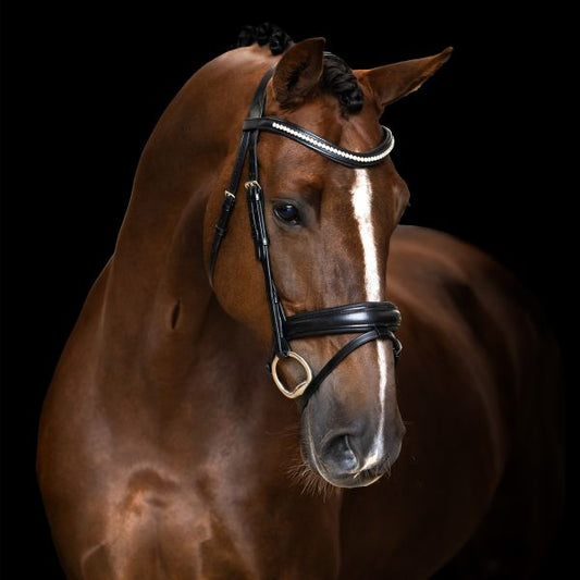 Imperial Riding Trense Kombiniert