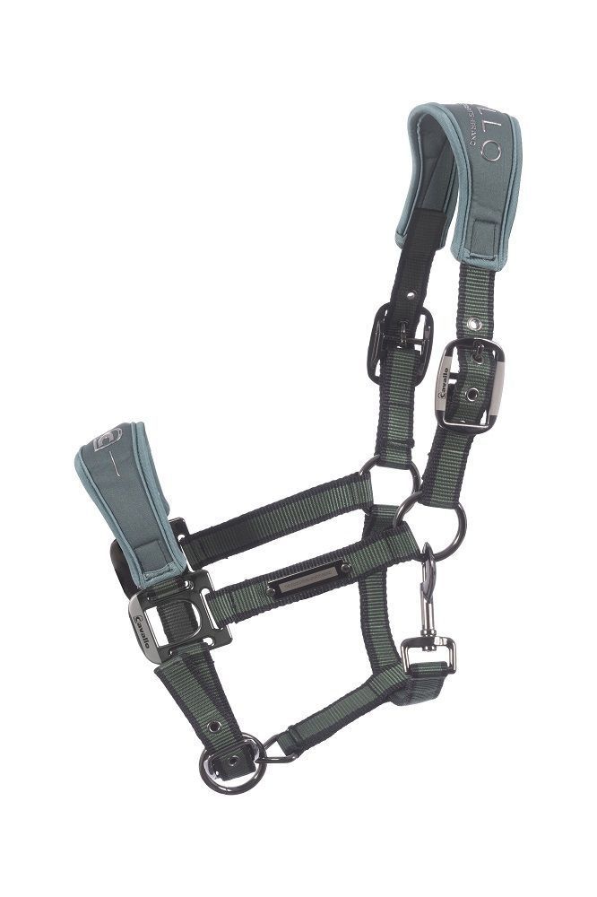 Cavallo Halfter Softshell