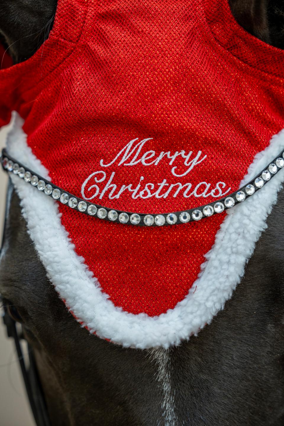 Horseguard Weihnachtsmütze mit Glitzer ONE SIZE