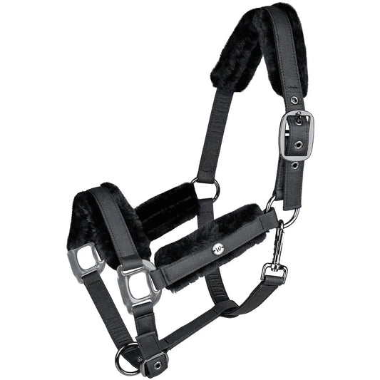 Waldhausen Halfter Phoenix black