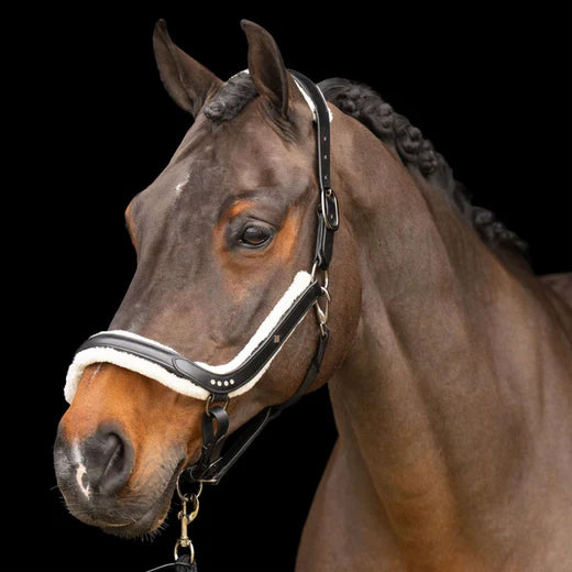 Imperial Riding Lederhalfter IRHLuxury