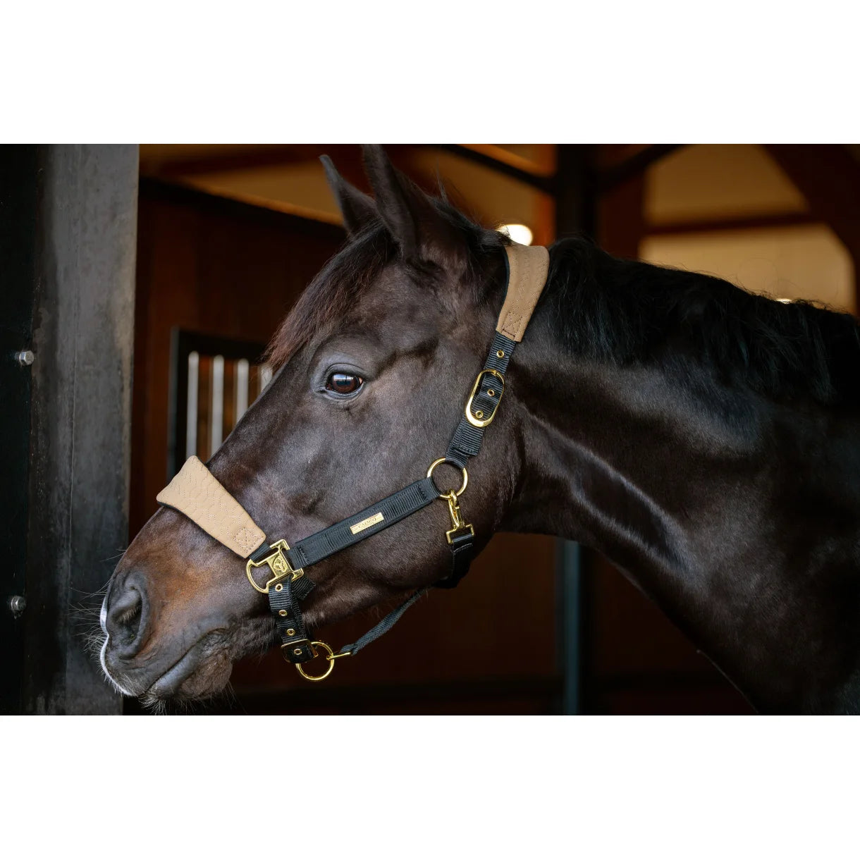 Catago FIR-Tech Halfter Grand