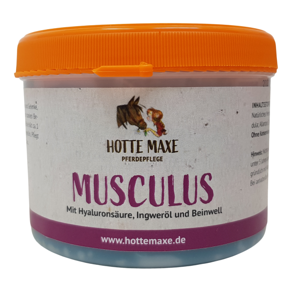 Hottemaxe Musculus Kühlgel