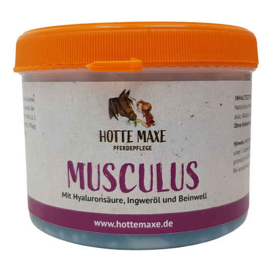 Hottemaxe Musculus Kühlgel