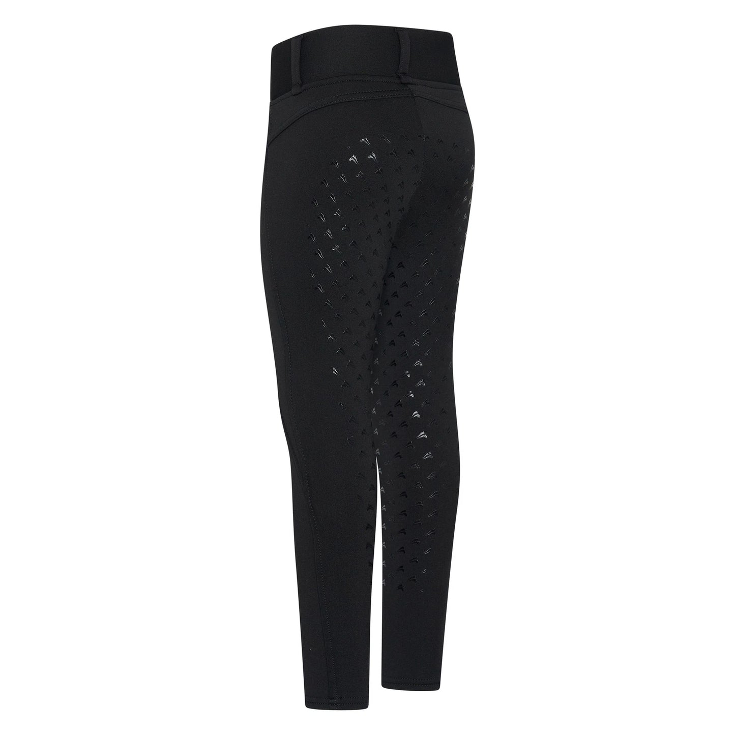 Easy Rider bei Euro-Star Winterreitleggings ERDon Fullgrip schwarz 42